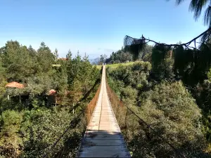 Honey Puebla
