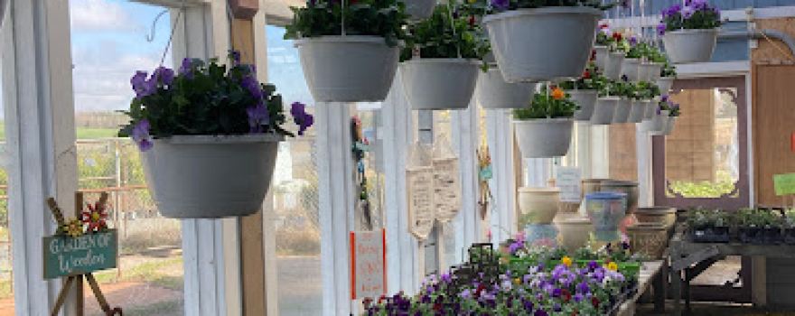 Country Gardens Nursery