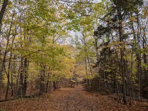 North Shore Campground