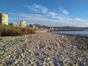 Platja de gossos del Campello Punta del Riu