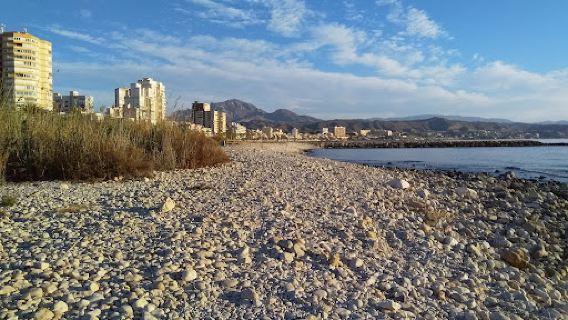 Platja de gossos del Campello Punta del Riu