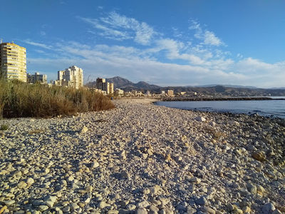 Platja de gossos del Campello Punta del Riu