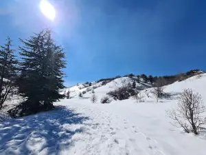 Shouf biosphere Reserve / Bmahray Ain Zhalta Forest