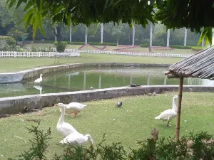 National Zoological Park, Delhi