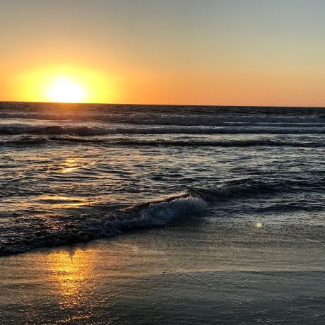 Venice Beach