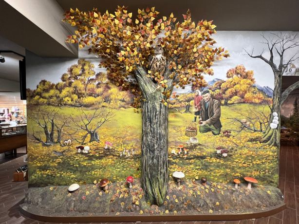 Natural History Museum of Meteora and Mushroom Museum