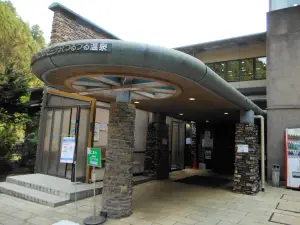 生涯青春の湯 つるつる温泉