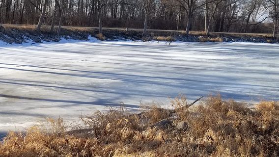 Lake Manawa State Park
