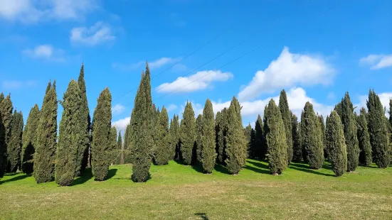 Parco di Serravalle