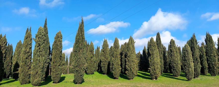 Parco di Serravalle