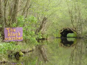 BeWILDerwood Norfolk