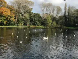 Haslam Park