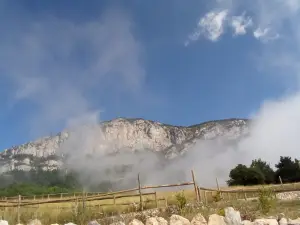 Zoo del Pirineu (Visites amb reserva online)