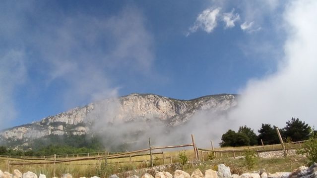 Zoo del Pirineu (Visites amb reserva online)