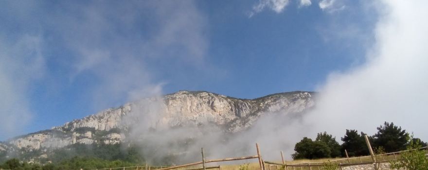 Zoo del Pirineu (Visites amb reserva online)
