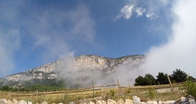 Zoo del Pirineu (Visites amb reserva online)