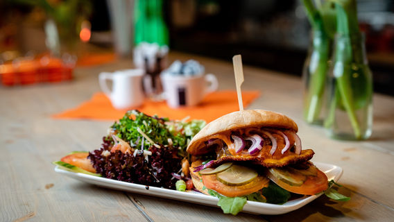 NINFLY - Home of modern Sports