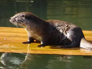 Zoo Augsburg