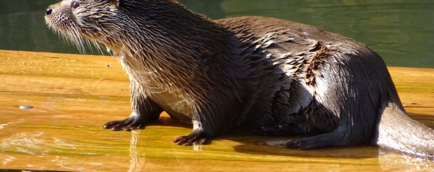 Augsburg Zoo