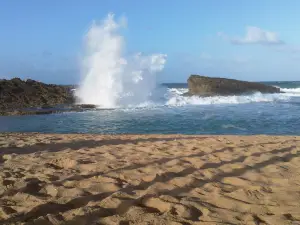La Poza Del Obizpo