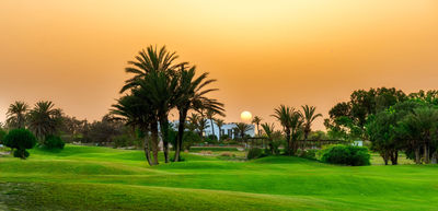 Djerba Golf Course