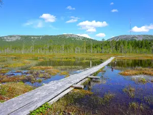 Pyhätunturi