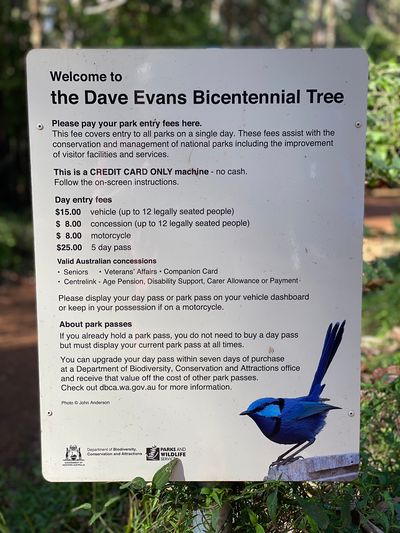 Dave Evans Bicentennial Tree