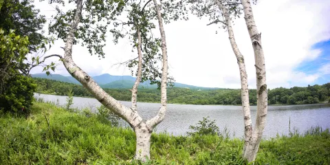 Baragi Lake