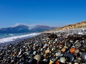 National Trust - Murlough National Nature Reserve