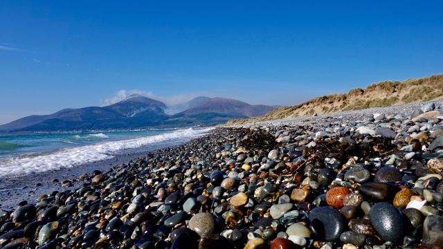National Trust - Murlough National Nature Reserve