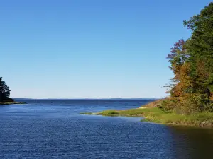 South Toledo Bend State Park