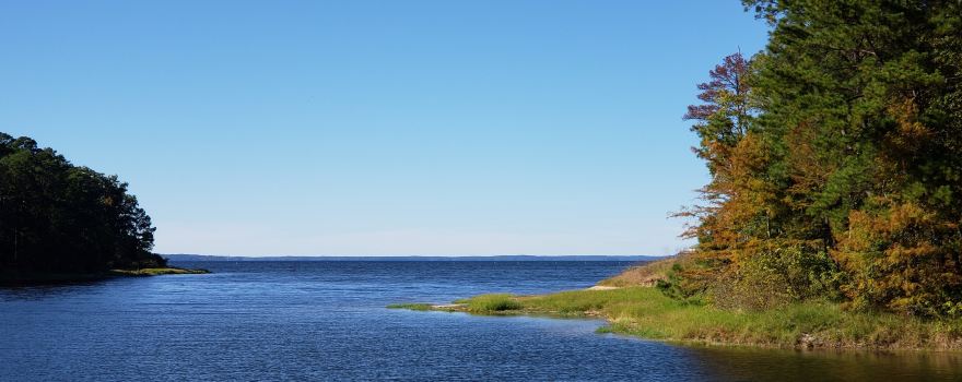South Toledo Bend State Park