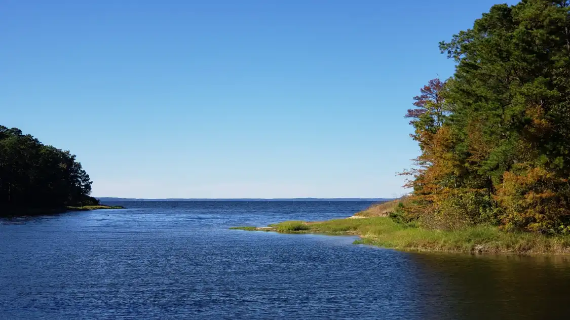 South Toledo Bend State Park附近的飯店