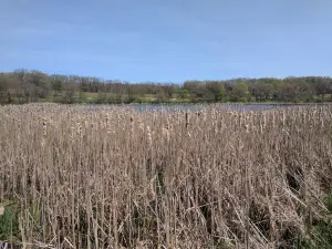 Wickiup Hill Learning Center