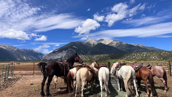 Chaffee County