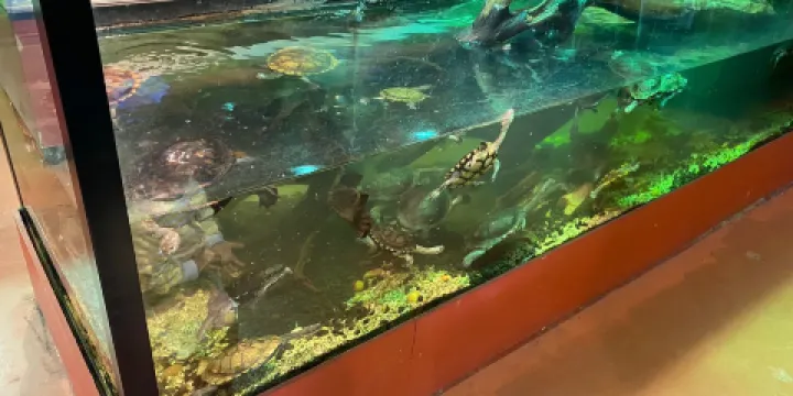 Canberra Reptile Zoo