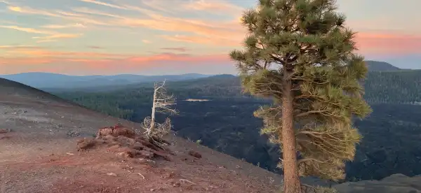 Hotels in Lassen County
