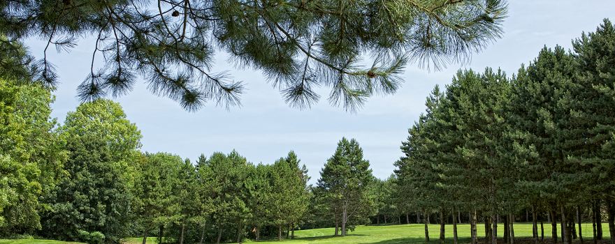 Golf Nampont Saint-Martin