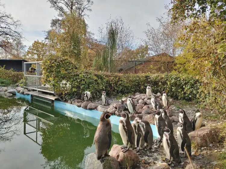 Hotels near Guldborgsund Zoo & Botanisk Have