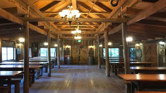 Gold Rush Colony Mogo