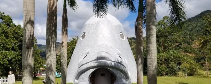 Museo El Cemi