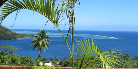Moorea Tropical Garden