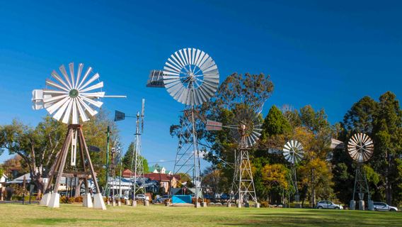 Queensland Museum Cobb+Co | Toowoomba