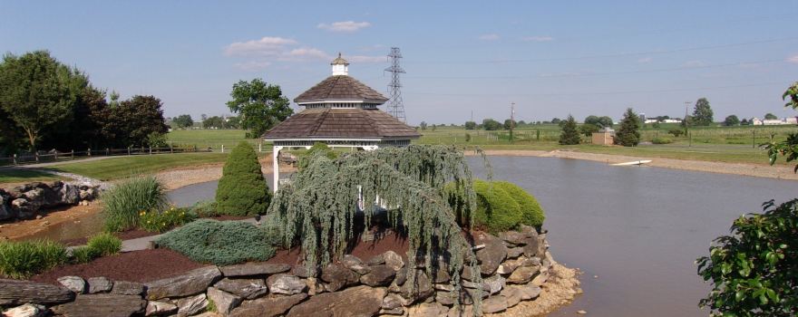 Water's Edge Mini-Golf