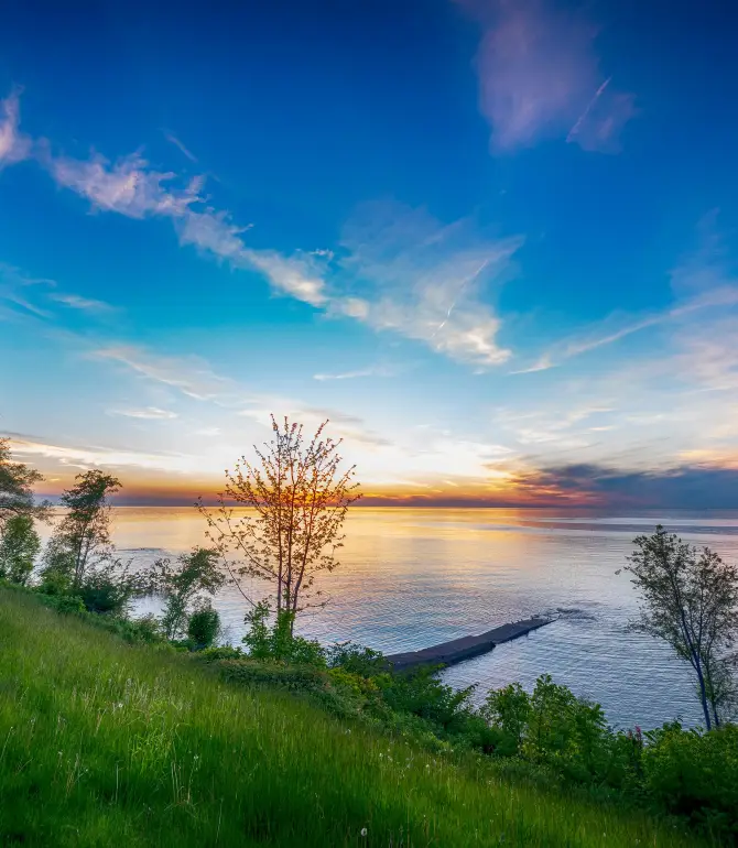 Olcott