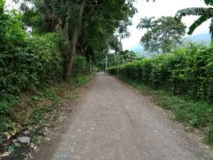Bocatoma