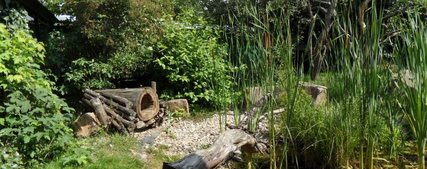 Wildkatzendorf Hutscheroda