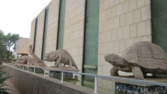 Zimbabwe Museum of Human Sciences