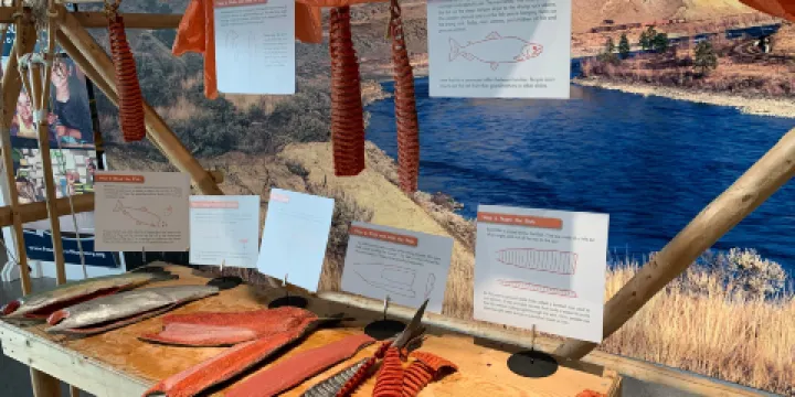 Fraser River Discovery Centre