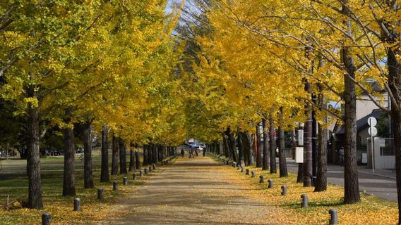 Manabi no Mori Park
